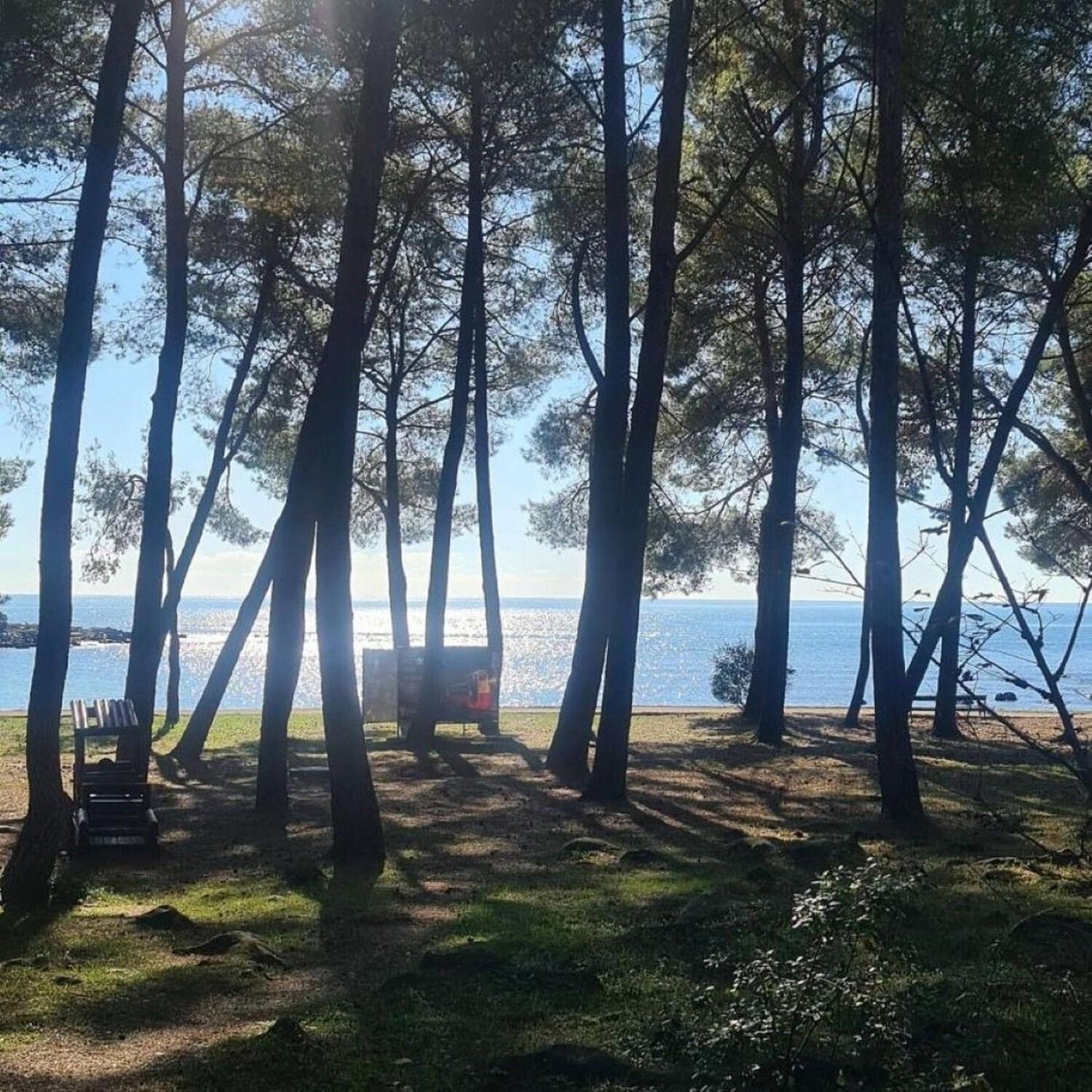 Apartments Berto - 500M To The Beach Rovinj Eksteriør billede